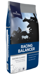 thumbnail for  Racing Balancer