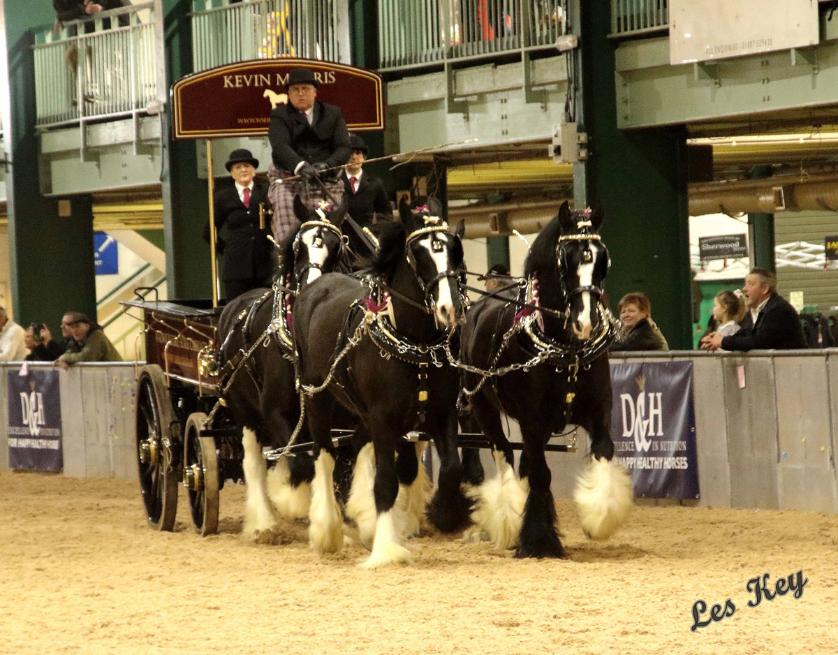 Celebrating Success At The National Shire Horse Show 2025 Dodson Horrell