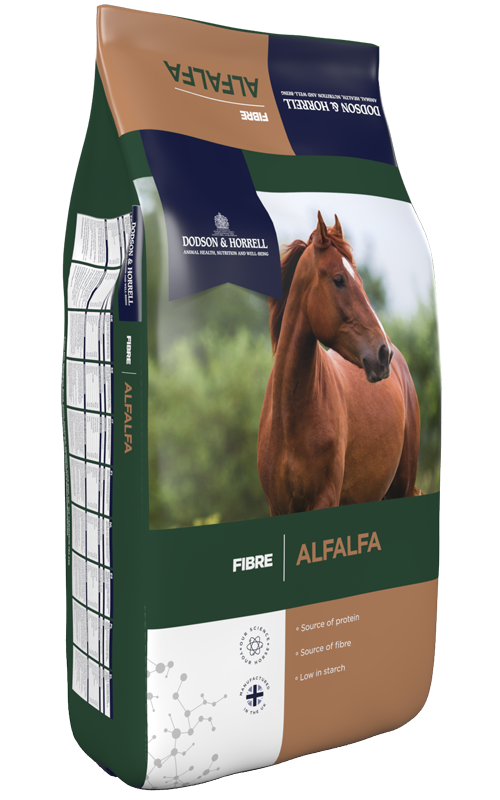 Product image for Alfalfa