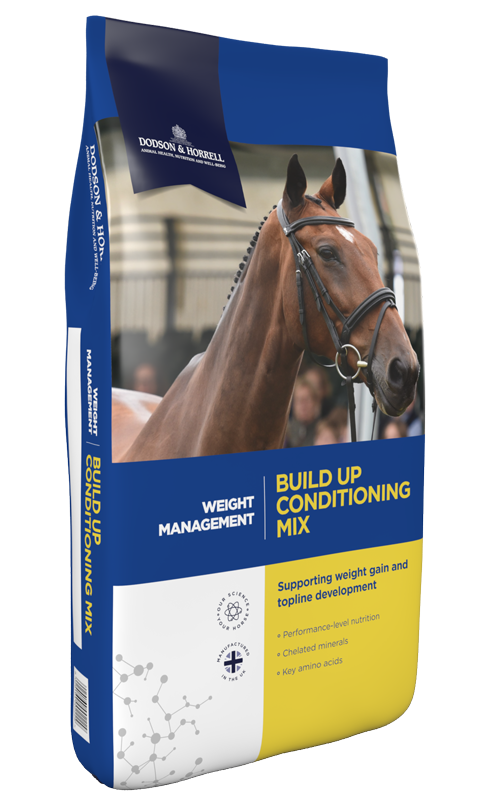 Build Conditioning Mix Horse Conditioning Feed | Dodson Horrell