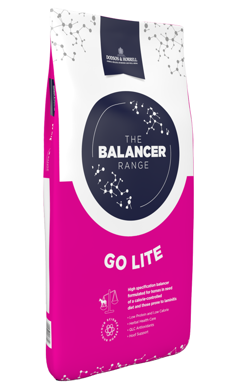 Product image for Go Lite Balancer