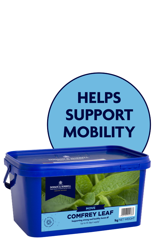 Product image for Comfrey Leaf