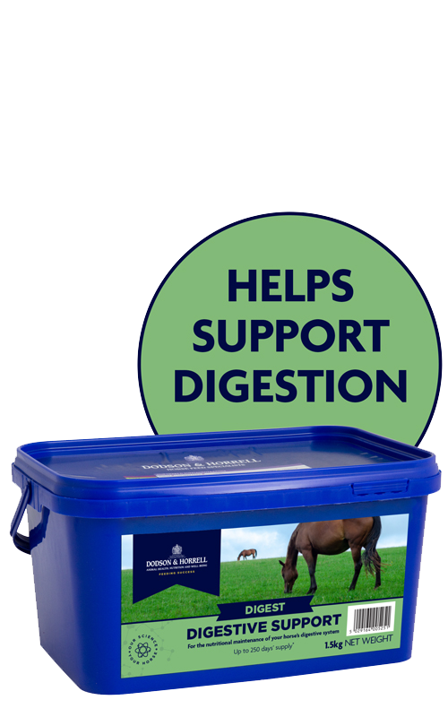 Product image for Digestive Support