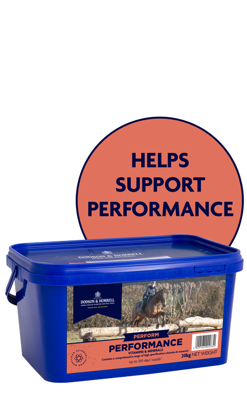Product image for Performance Vitamins and Minerals