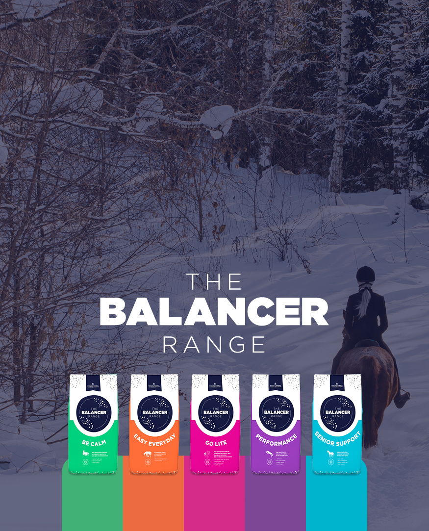 Horse Feed Specialists Feeding success for over 80 years