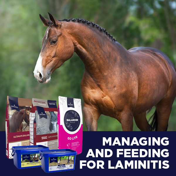 Horse Feed Specialists Feeding success for over 80 years