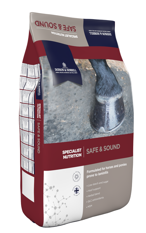 Product image for Safe and Sound