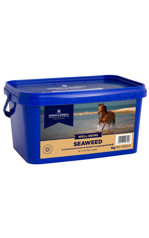dodson and horrell pet greyhound food