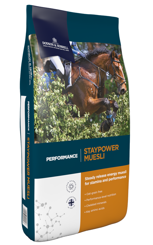 Product image for Staypower Muesli