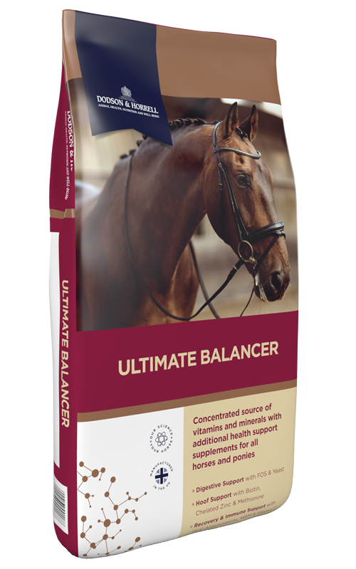 Product image for Ultimate Balancer