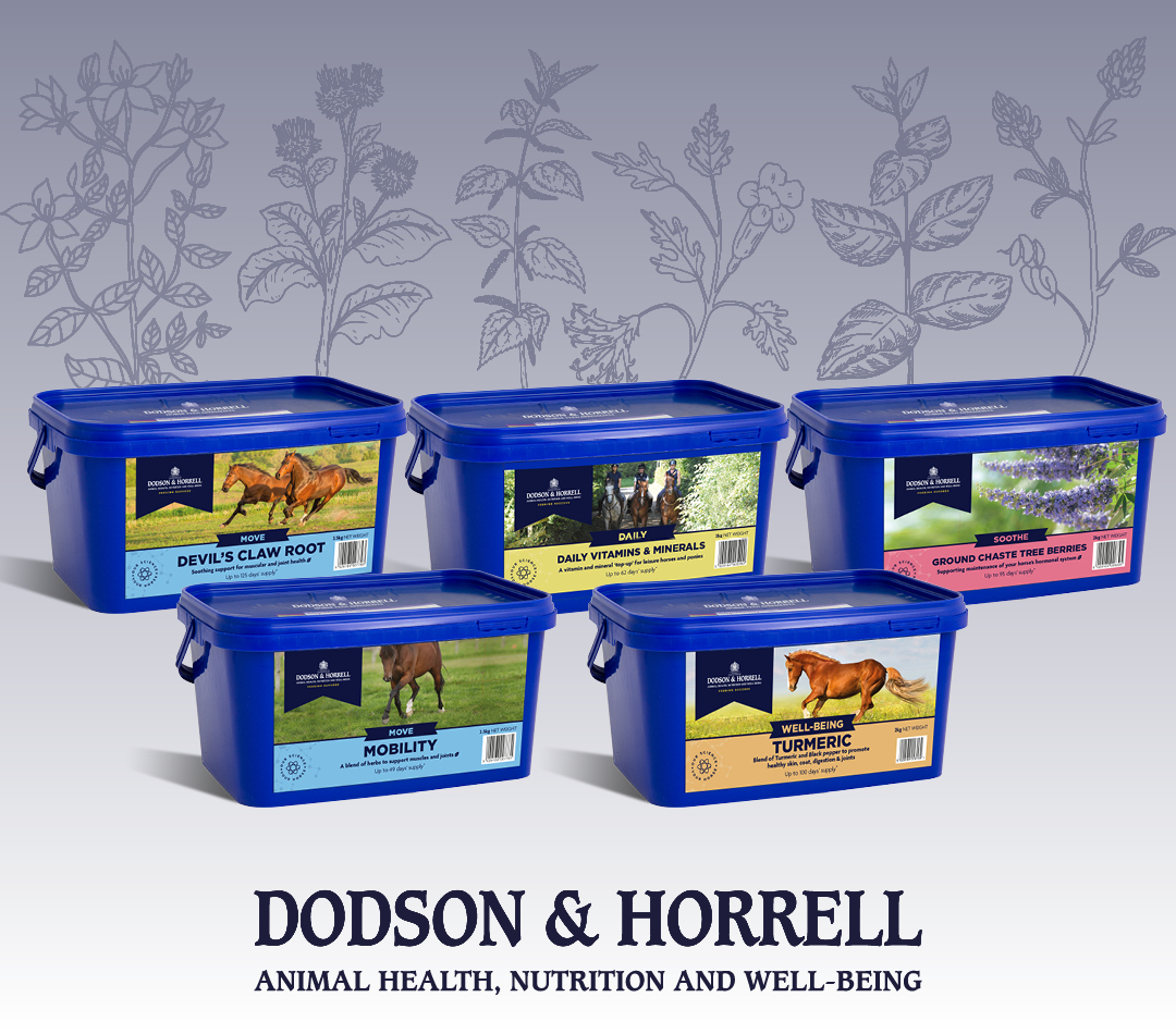 Supporting the Veteran Horse from the Inside Dodson Horrell