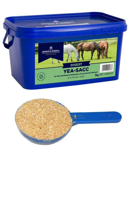 Yea-sacc 900g digestion hindgut yeast yeasacc condition horse equine weight gain 
