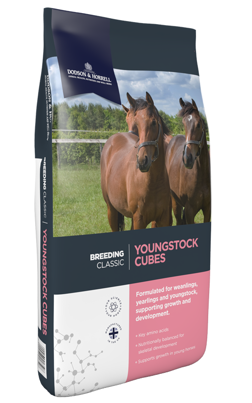 Product image for Youngstock Cubes