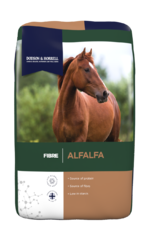 thumbnail for Alfalfa