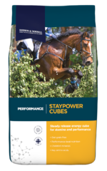 thumbnail for Staypower Cubes