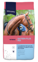 thumbnail for Sixteen Plus Mix