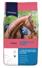 thumbnail for Sixteen Plus Cubes
