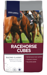 thumbnail for Racehorse Cubes