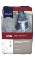 thumbnail for Safe and Sound