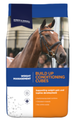 thumbnail for Build Up Conditioning Cubes