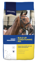 thumbnail for Build Up Conditioning Mix