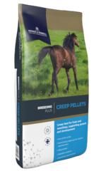 thumbnail for Creep Pellets