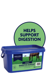 thumbnail for Digestive Support