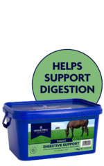 thumbnail for  Digestive Support