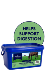 thumbnail for Digestive Support