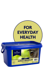 thumbnail for Garlic Granules