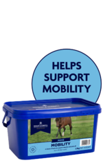 thumbnail for Mobility
