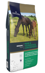 thumbnail for  Mare & Youngstock Concentrate