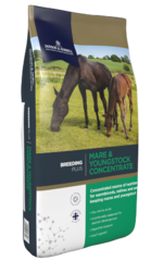 thumbnail for Mare & Youngstock Concentrate
