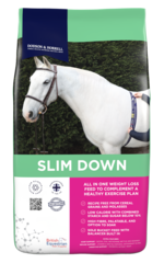 thumbnail for  Slim Down