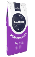 thumbnail for  Performance Balancer