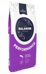 thumbnail for Performance Balancer