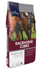 thumbnail for  Racehorse Cubes