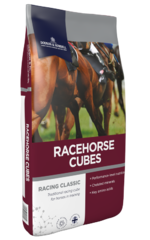 thumbnail for Racehorse Cubes