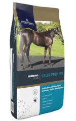thumbnail for Sales Prep Mix