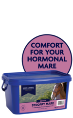 thumbnail for Stroppy Mare
